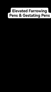 3.4K views · 20 reactions | Viddavet Elevated Farrowing Pens #pigs #Hograiser #Hograising | Viddavet Ph | Facebook