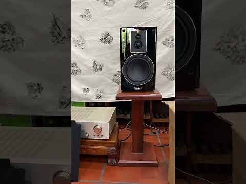 Review Magnat 503