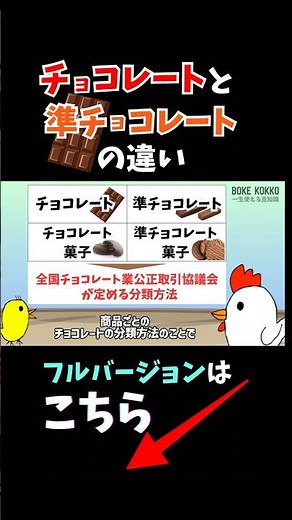チョコレートと準チョコレートの違いとは？🍫 意外と知らないチョコレートの豆知識🐔🐤💡 #チョコレート #チョコ #バレンタイン #雑学 #shorts