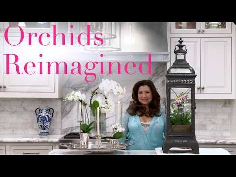 Creative & Elegant Ways to Show Off Your Orchids