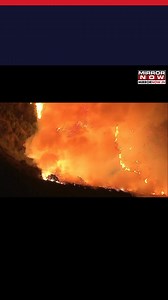 99K views · 1K reactions | Officials announced that the #PalisadesFire has burned more than 5,300 structures, including homes, apartment buildings, businesses, outbuildings and vehicles #Watch aerial video showing firefighting helicopters battling the massive flames #LosAngeles #LosAngelesFires #CaliforniaWildfires | Mirror Now | Facebook