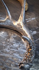 6.7K views · 721 reactions | My first attempt at metal sculpture realism. Should I make the other side?! | Metal by Rachel | Facebook