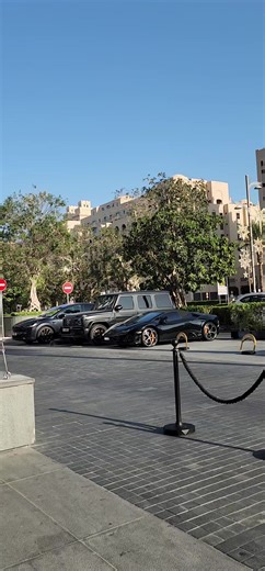 Experience a VIP City Tour in Dubai