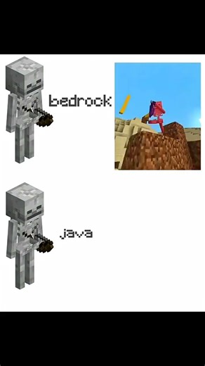 [Bedrock_vs_Java] #skeletons #minecraft #minecraftshorts #edit
