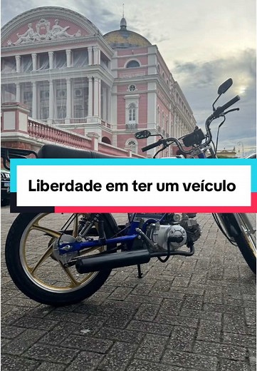 Liberdade de Escolher o Veículo Ideal na Amazon Motors