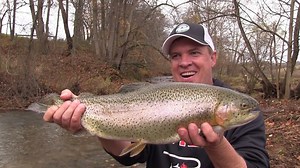 10K views · 147 reactions | With crowds light and many anglers focused on hunting, fall is an excellent time to trout fish in Virginia. We packed a sack of Pautzke salmon eggs and headed to Southwest Virginia in search of trophy trout. See how we did in this episode of Pautzke Outdoors. | Pautzke Bait Company | Facebook