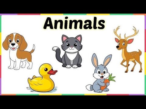 Learn Colors With Lucas and Ruby | LearningVideo For Toddlers | 🌈 Colour For Kids.