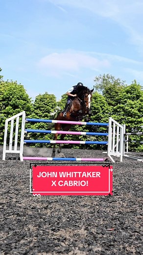 John Whitaker & Cabrio: An Equestrian Adventure!