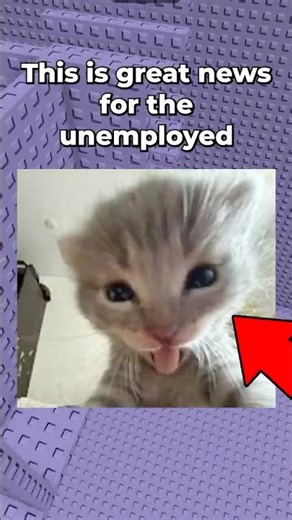 Free followers on roblox!?!? #KashplaysYT 69