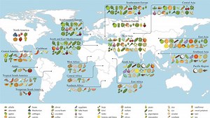 This Interactive Map Shows You Where Your Food Comes From