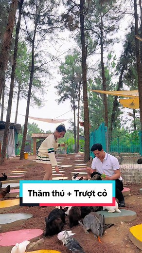 Trải nghiệm thăm thú tại Hohoo Zoo và trượt cỏ 💃🏻🌼#flamingo #flamingodailai #flamingodailairesort #resort #checkin #checkinvietnam #dulichvietnam #dulich #hohoo #zoo #truotco #sliding #tiktok #dcgr