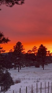 Wow! What a sunset in Pagosa Springs!! I always got that camera ready 📷🏔️❄️ #colorado #pagosasprings #matthewscreations | High Altitude Pagosa