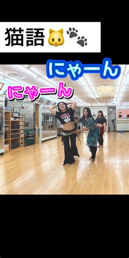 Cat language 🐱 #jamilabellydanceschool #bellydance #lessons #fun #dancingshaman #TochigiPrefectur...