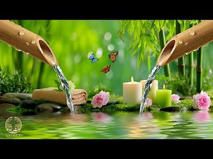 Relaxation Music Bamboo Water Fountain + Healing Piano 🌿 Sleep Music, Meditation and Nature Sounds
