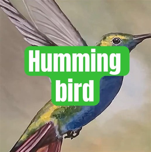 🎨 HUMMINGBIRD PORTRAIT Hyper Realistic Bird Painting Timelapse! 🐦✨