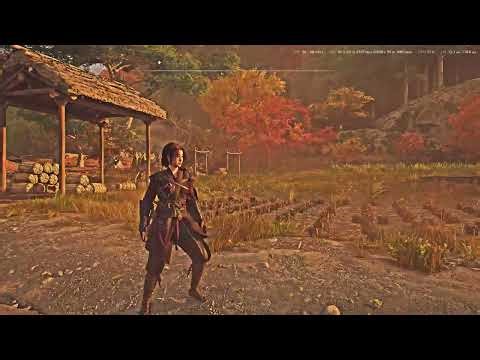 RTX dynamic vibrance assassin's Creed shadows perfect settings check description