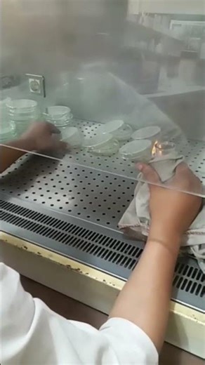 Media pouring in petri plates #microbiology #shortsvideo #youtubeshort #pakzarat