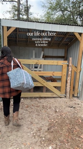 Erika | Simple Farm Living on Instagram: "Today was one of those slow, peaceful mornings on the farm that I never get tired of. 🥰 ♥ Welcome to our life out here! Hi, I’m Erika. My husband and I left the city to build our family farm from the ground up. We raise dairy goats, keep laying hens, and process meat chickens while embracing a slower, faith-filled, family-first lifestyle. From caring for animals to cooking and baking from scratch, I share our journey to inspire you to grow, raise, and c