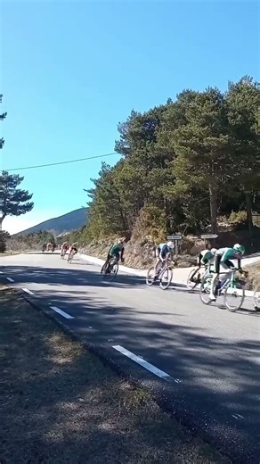 Unleash Your Speed: Ultimate Cycling Tips for Road Bikes