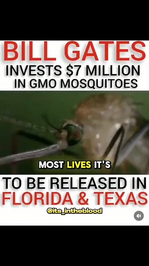 1.8K views · 48 reactions | Bill Gates Flying COVID-19 EUGENIC MOSQUITOES For People | Amazing Word Ministries | Facebook