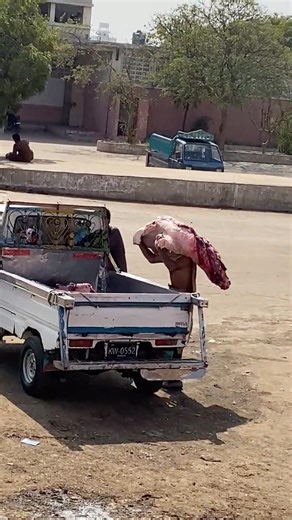 Professional beef processing in Karachi Pakistan | fresh meat handling expert butcher #meatmarket 👌