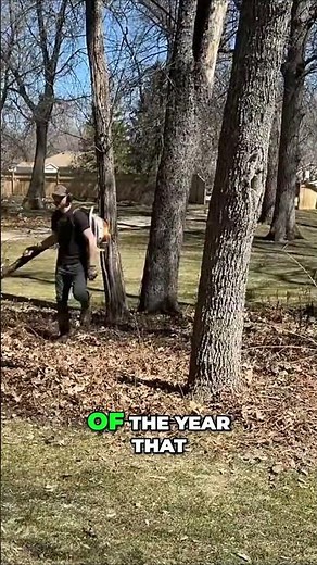 Get Your Garden Ready for Spring: Clearing Out Beds with a Leaf Blower