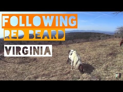 The Appalachian Trail - Virginia (HD)