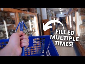 MASSIVE Antique Mall! Wisconsin Antique Shopping at School Days Mall