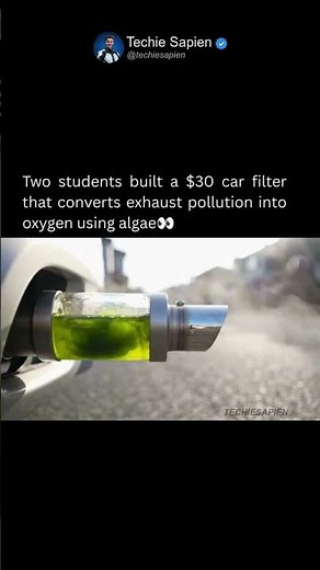 Teenagers Built a $30 Algae Bioreactor That Converts Car Exhaust Into Oxygen 🌿🤯