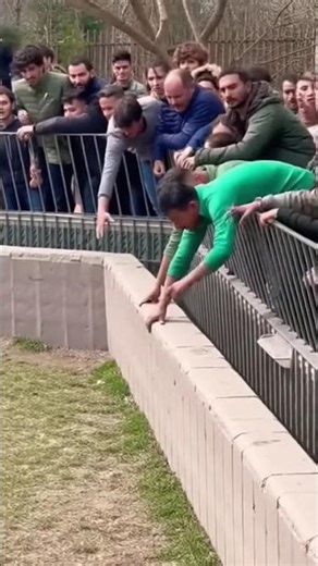 Wild Encounter at the Zoo: Rescue in Action