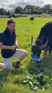 84K views · 1.5K reactions | Today’s update from Steve with our...