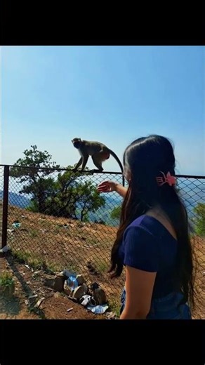 🙉 #shorts #fyp #subscribe #funny #shortsfeed #foryou #youtubeshorts #views #page #trending #vlog