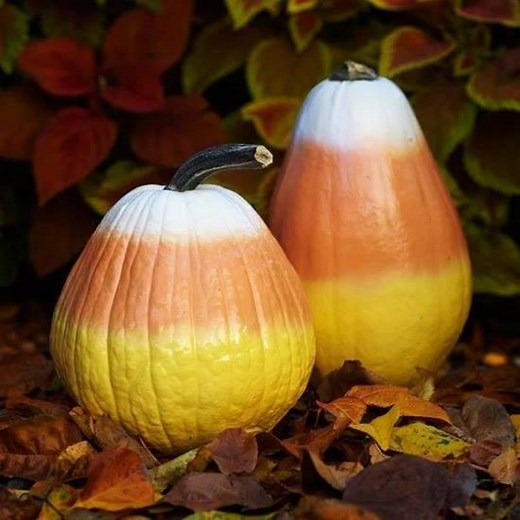 CANDY CORN PAINTED PUMPKINS 💛🧡 Adorable and easy to make! Find this & Over 40 of the BEST Pumpkin Decorating Ideas here...http://kitchenfunwithmy3sons.com/best-pumpkin-decorating-ideas/ . | Kitchen Fun With My 3 Sons