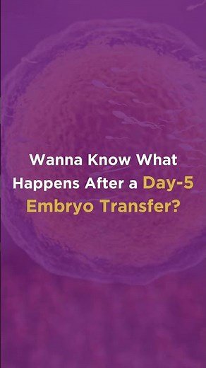 Do You Know What Happens After a Day-5 Embryo Transfer?