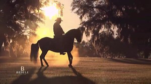 9.6K views · 4.3K reactions | Paso Fino Stallion VIVALDI DE BESILU...