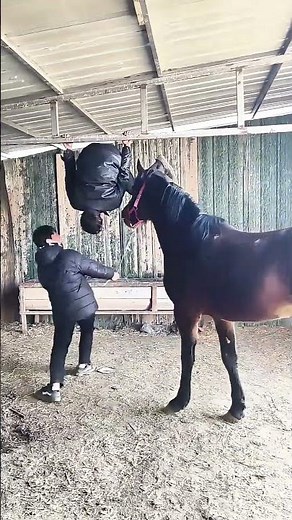 Special Way To Ride A Horse
