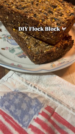 Stop spending $20–$30 on store-bought flock blocks 💸🐔 This homemade version is cheaper, customizable, and made with ingredients I trust. It keeps chickens busy, supports gut health, and helps prevent boredom pecking—especially during winter, rain, or confinement days. Save this recipe & make one for your flock 🤍 They go crazy for it. #flockblock #chickensnacks #chickenfeed #homesteadhack #kristyhomestead 🐔 Homemade Flock Block Recipe Ingredients • 2 cups chicken feed* • 1 cup scratch grains*