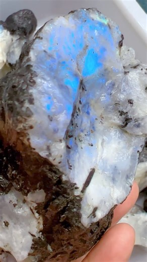 High quality raw moonstone with strong blue flash,very very very shiny,so so so pretty! | Rock's Rock Store