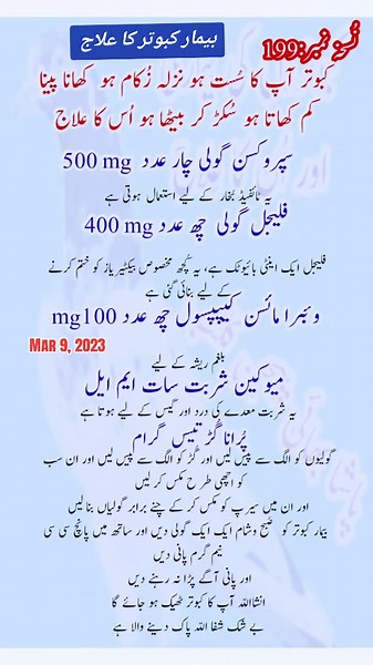 Treating Sick Pigeons: Insights from Zafarwal