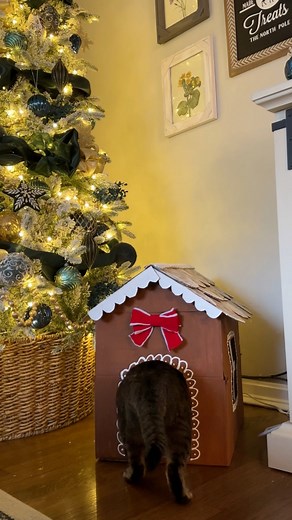 My cats just love boxes so let’s make them a gingerbread house for them for Christmas! #christmasdecor #christmascrafts #CatChristmas #catlady #seasonaldecor | Weekend Craft