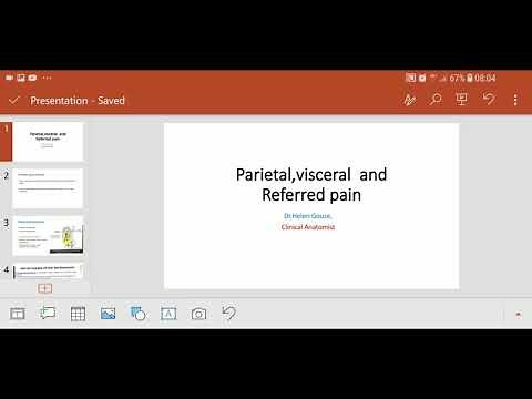 Parietal, visceral and referred pain