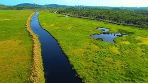 Wetlands provide habitat for diverse wildlife, help control floods, and filter water. Drone footage offers stunning aerial views of these essential ecosystems, perfect for video stock footage. 4K