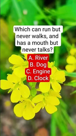 Which can run but never walks, and has a mouth but never talks?