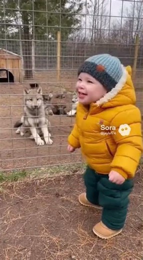 Kids howling with wolves