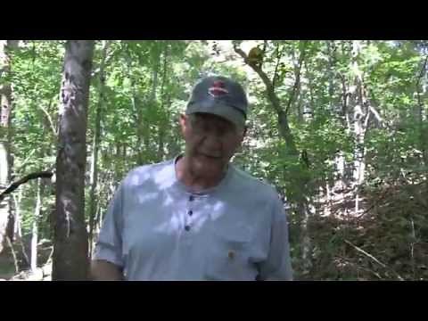 FAQ 58 ( How much land needed for shooting)