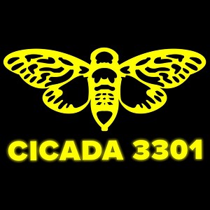 Are you smart? Can you solve extremely complicated puzzles? Have you ever heard of the Cicada 3301? It is an impossible internet puzzle that spans the entire globe and was created by some mysterious organization that no one knows anything about. Watch today's crazy video to learn about one of the secret corners of the internet and maybe you will be inspired to try and solve the Cicada 3301 puzzle. | The Infographics Show