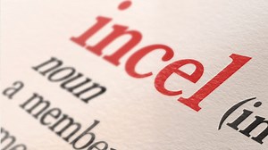 What does the term 'incel' mean?