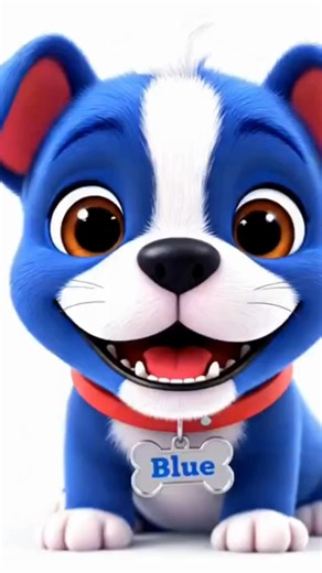 Blue | Blue Boxer Plumbing