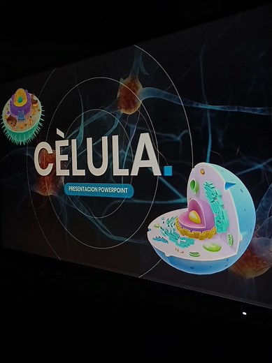 Solicita Plantillas PowerPoint Editables para Presentaciones