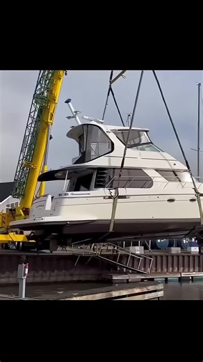 extremeforces (@extremeforces)’s videos with original sound - extremeforces